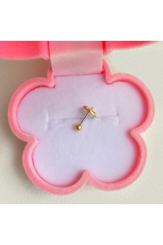Cerrahi Çelik Ay Detaylı Tragus Piercing