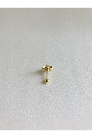 Kadın Gold Cerrahi Çelik Yıldız Tragus Kıkırdak Piercing 6mm