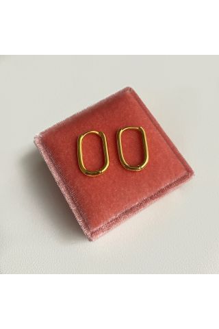Kadın Gold Renkli Oval Dikdörtgen 2'li Küpe
